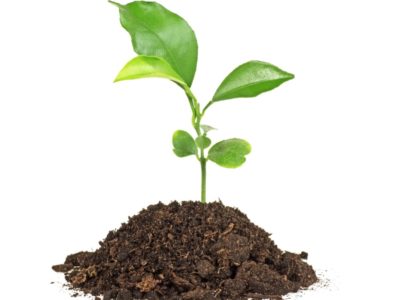 תרומה לטבעלו