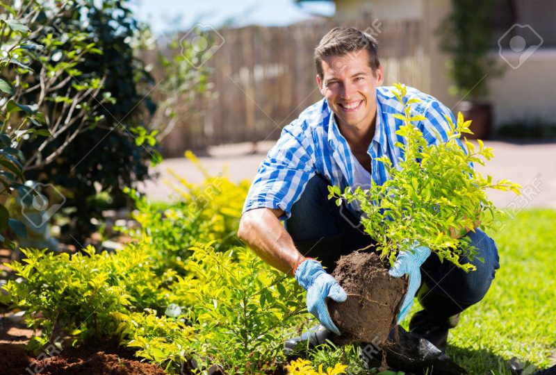 28207725-happy-young-man-gardening-in-backyard 28207725-happy-young-man-gardening-in-backyard