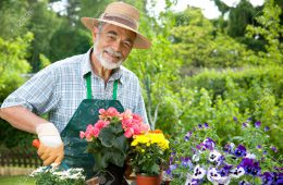 9826761-Portrait-of-senior-man-gardening-Stock-Photo-gardener 9826761-Portrait-of-senior-man-gardening-Stock-Photo-gardener