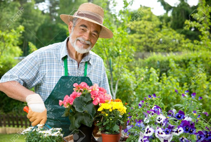 9826761-Portrait-of-senior-man-gardening-Stock-Photo-gardener 9826761-Portrait-of-senior-man-gardening-Stock-Photo-gardener