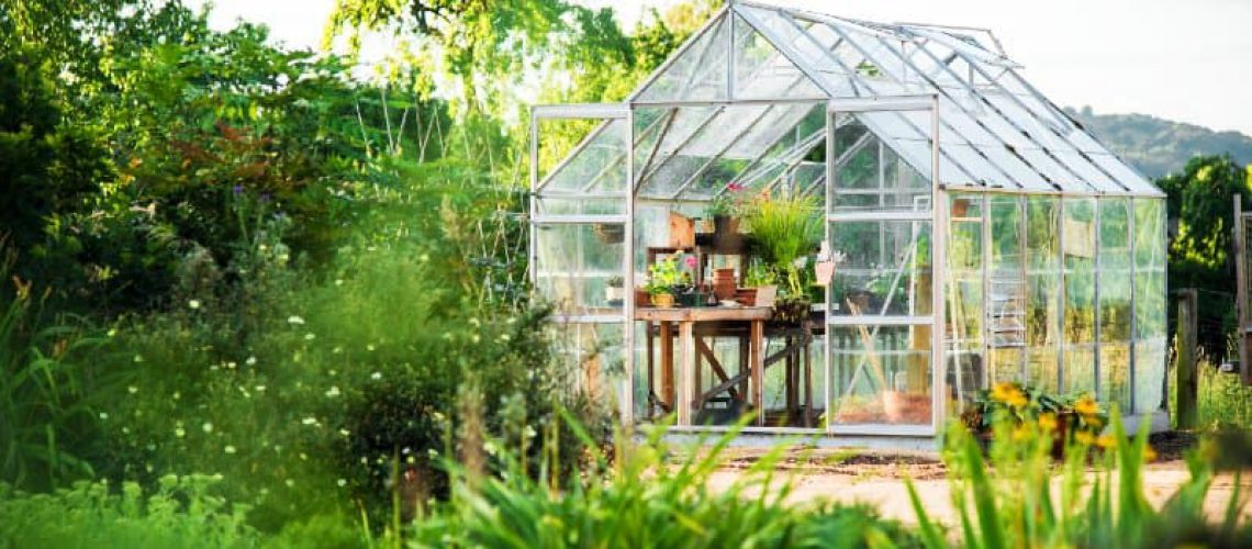 חממה ביתית בגן